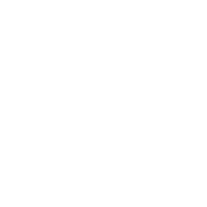 WordPress Logo